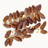 Branched Dates 500 g